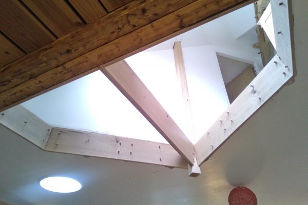 IMG_20241022_163331_1